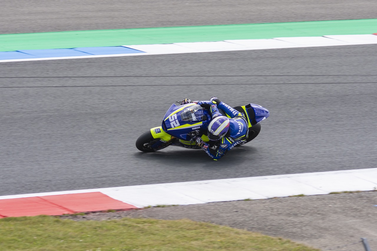 塞尔吉尼奥 塞尔吉尼奥